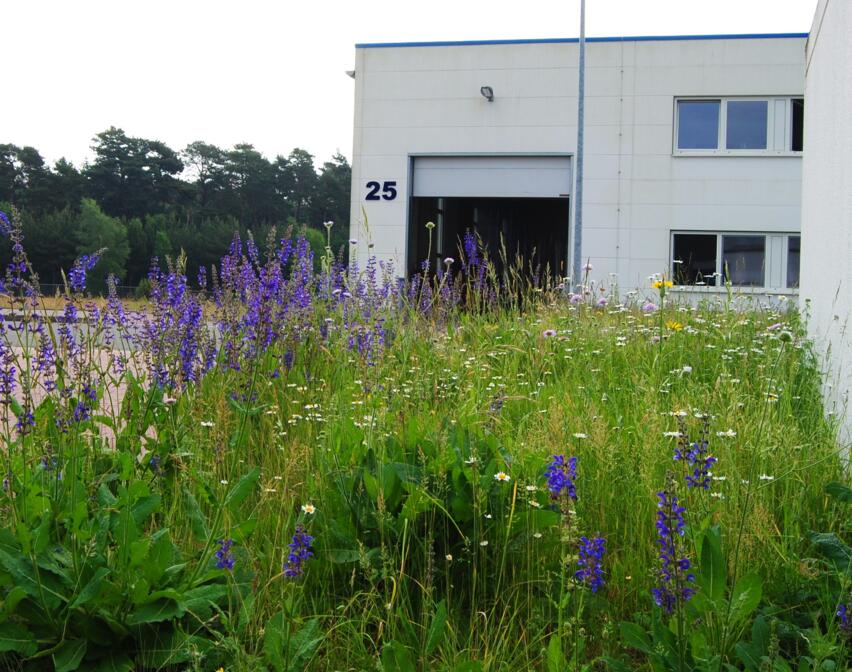 Au&szlig;engel&auml;nde der Dockweiler AG